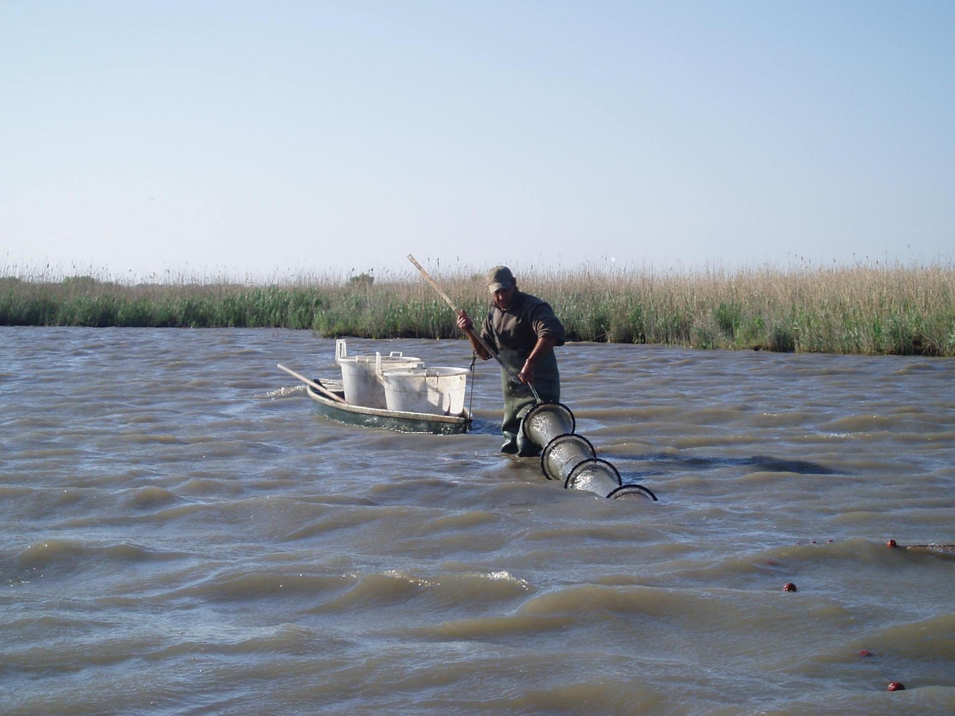 LA CAMARGUE INÉDITE MÉCONNUE