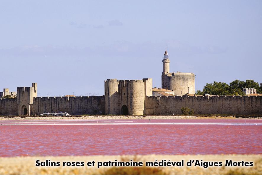 LA CAMARGUE INÉDITE MÉCONNUE