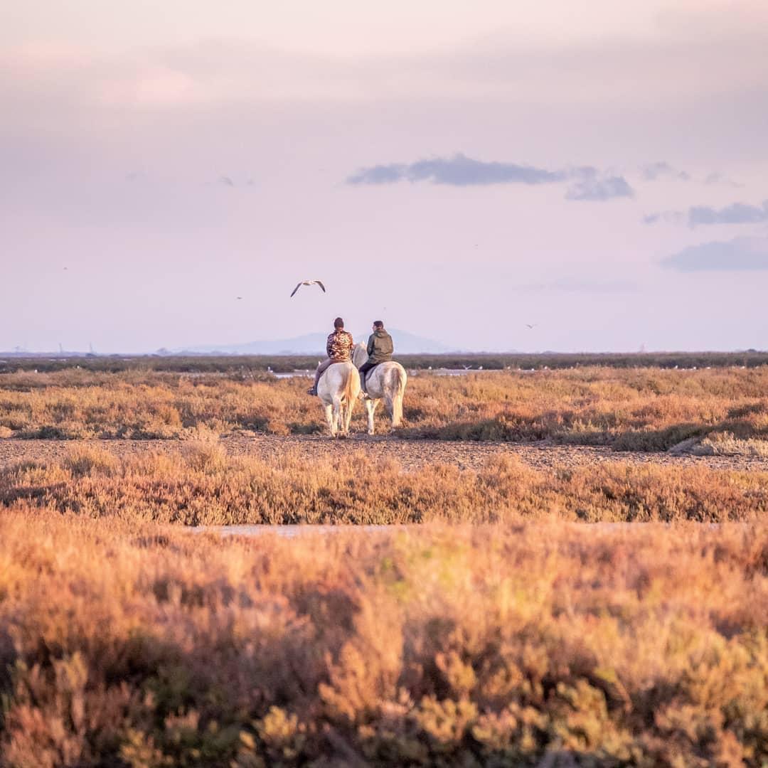 LA CAMARGUE INÉDITE MÉCONNUE