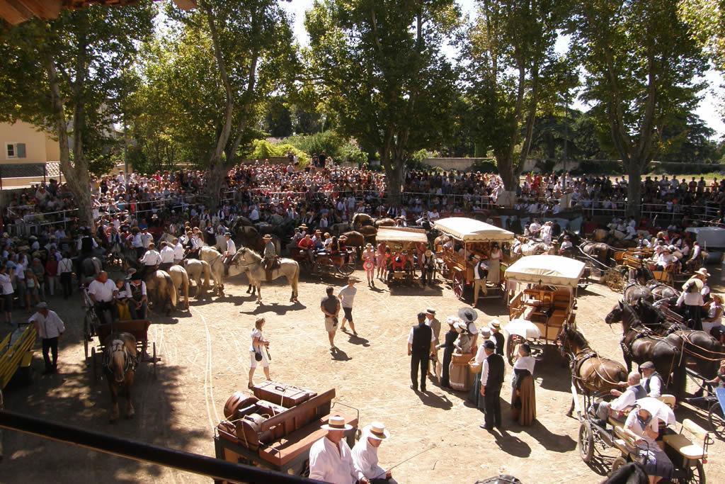 LA CAMARGUE INÉDITE MÉCONNUE