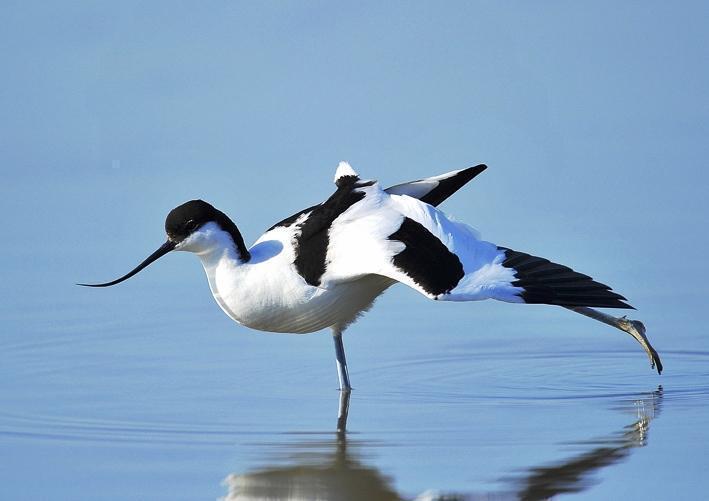 LA CAMARGUE INÉDITE MÉCONNUE