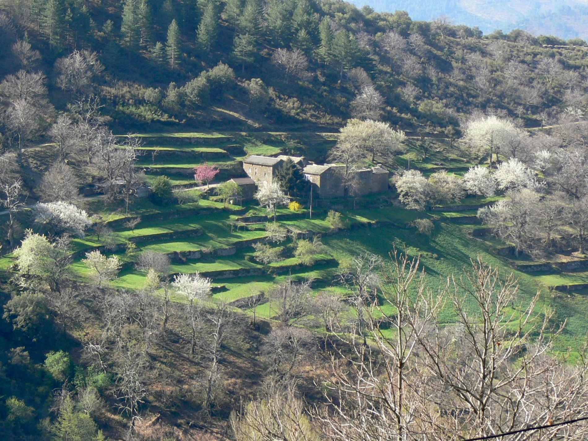 CAUSSES ET CEVENNES