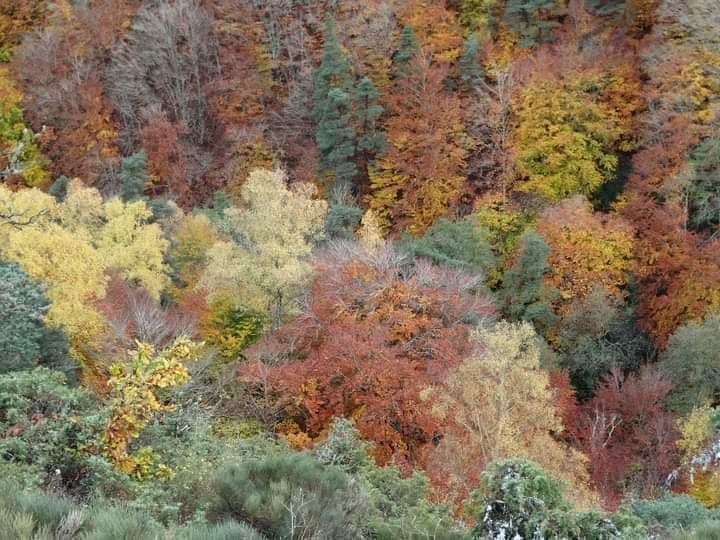 CAUSSES ET CEVENNES