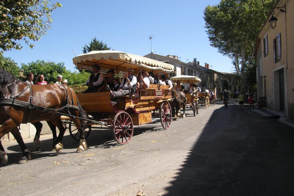 TOUTE LA CAMARGUE