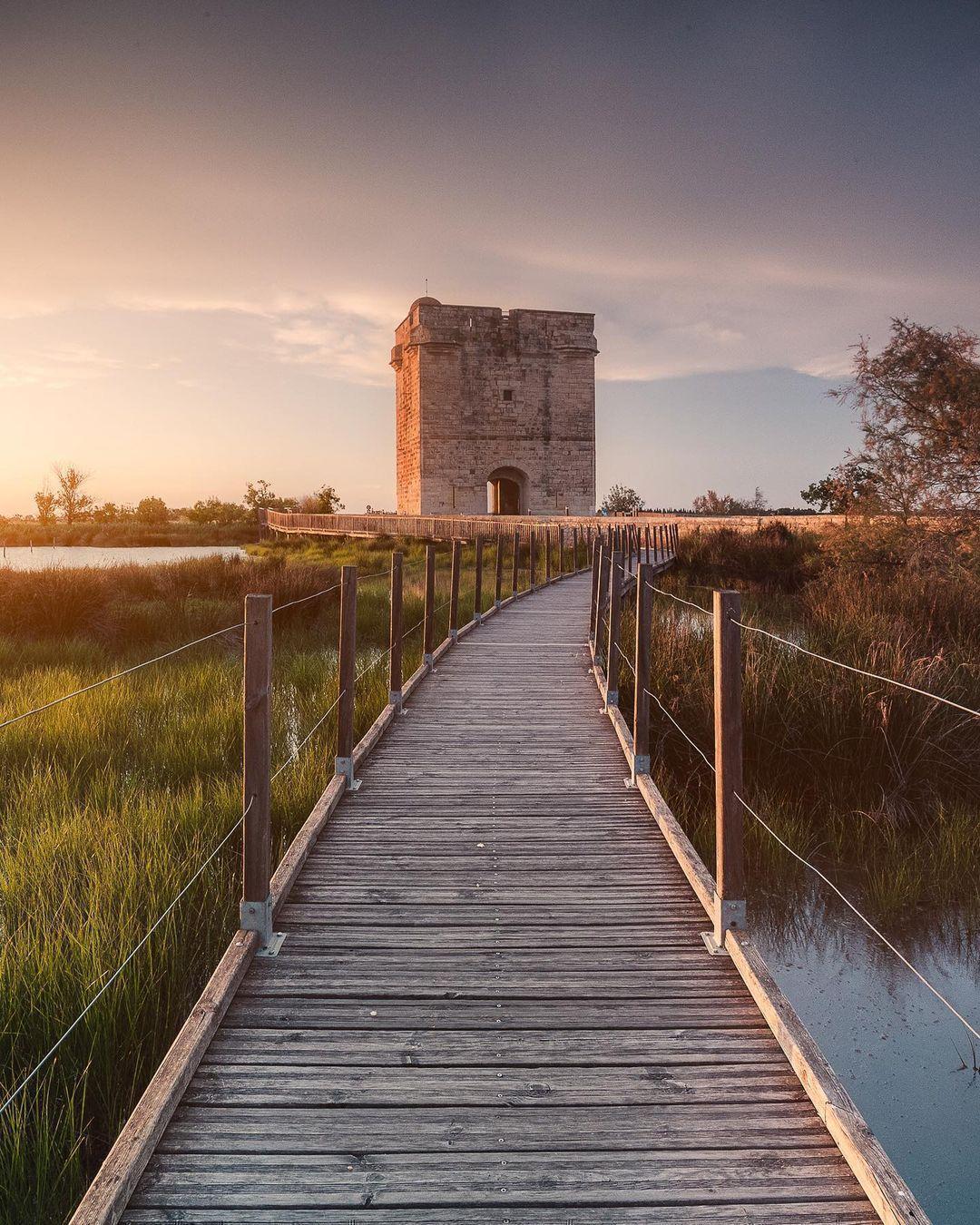 TOUTE LA CAMARGUE