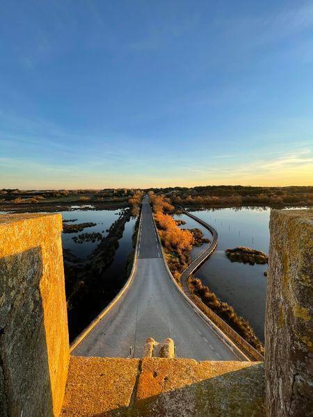 TOUTE LA CAMARGUE