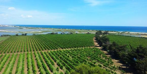 LA CAMARGUE GARDOISE