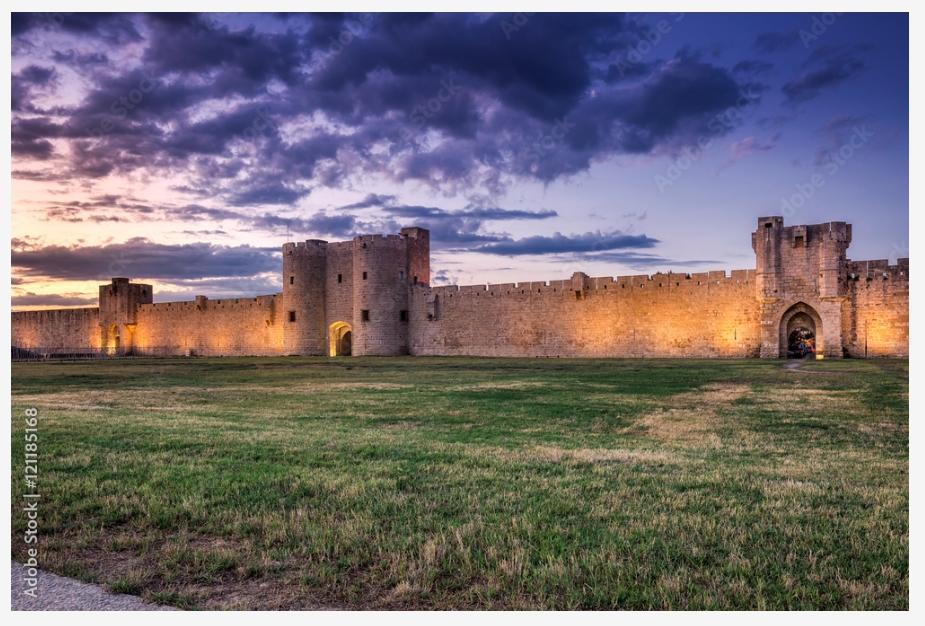 LA CAMARGUE PROVENCALE