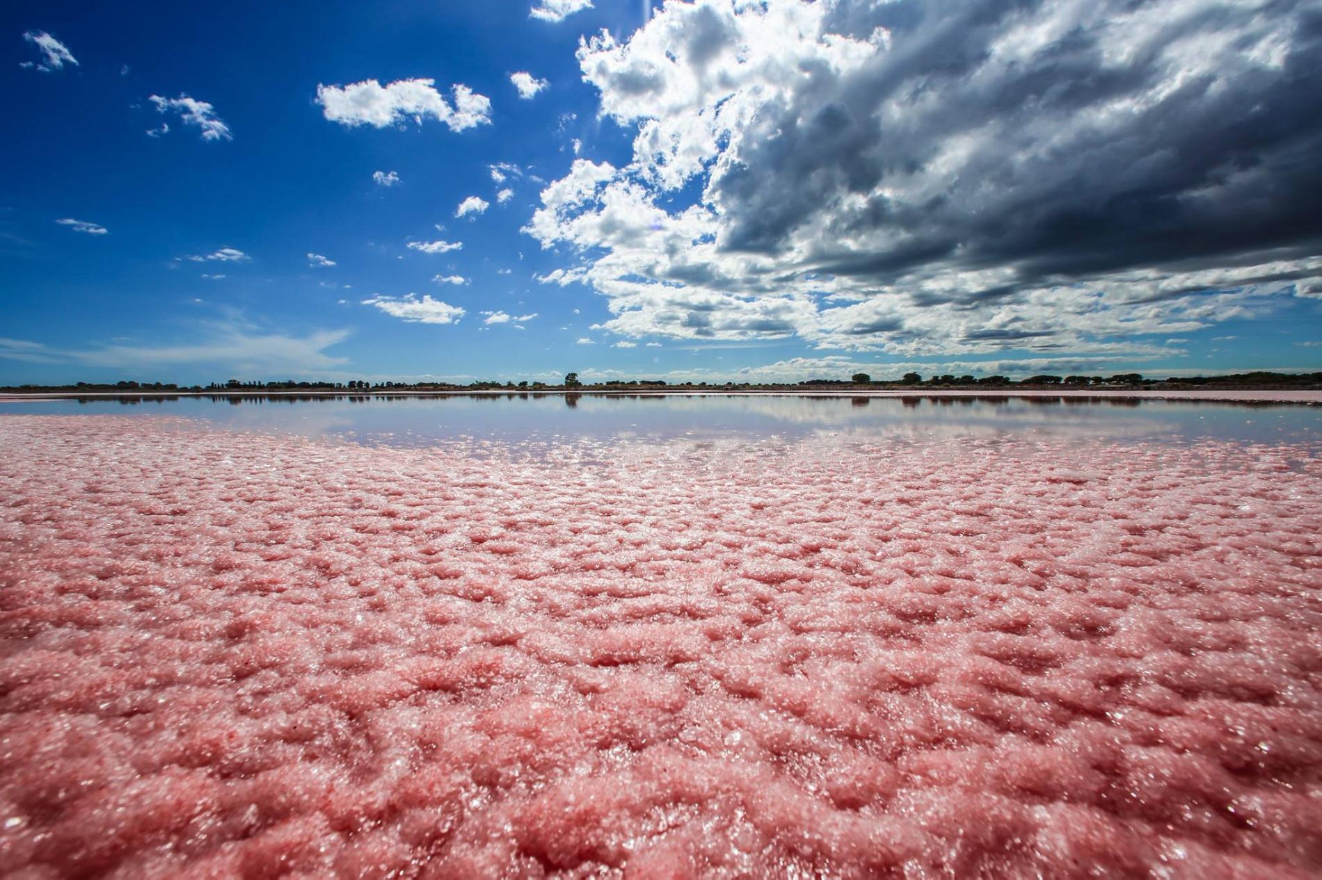 LA CAMARGUE OCCITANE